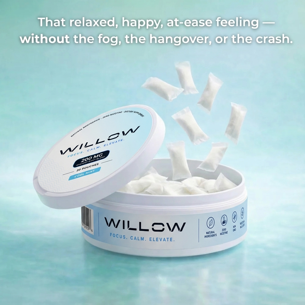 WILLOW CHILL POUCHES